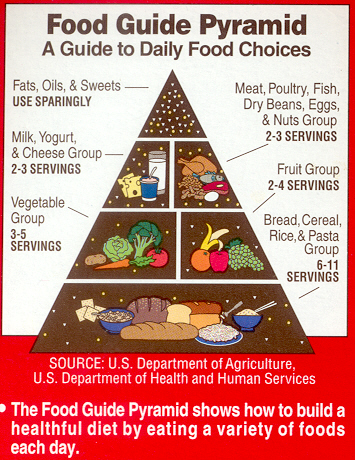 healthy food guide